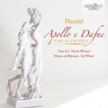 Handel / Wemyss / Musica Ad Rhenum / Wentz - Apollo E Dafne The Alchymist - Music CD