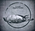 R.roo - Mgnovenie - Music CD