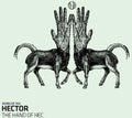 Hector - Hand Of Hec - Vinyl Record