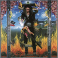 Vai,steve - Passion & Warfare - Vinyl Record
