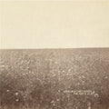 Milk Carton Kids - Ash & Clay - Vinyl Record