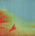 Flaming Lips - Terror - Vinyl Record