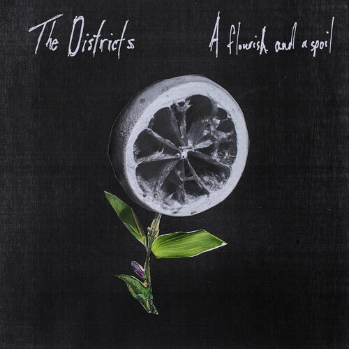 Districts - Flourish And A Spoil - Vinyl Record