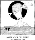 American Culture - Pure American Gum - Music CD