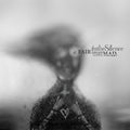 In The Silence - Fair Dream Gone Mad - Music CD