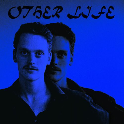 Other Life [LP] Vinyl Record