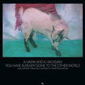 Hawk And A Hacksaw - You Have Already Gone To The Other World - Music CD