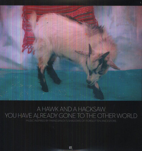 You Have Already Gone to the Other World [LP] Vinyl Record