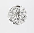 Madteo - Strumpetocracy - Vinyl Record