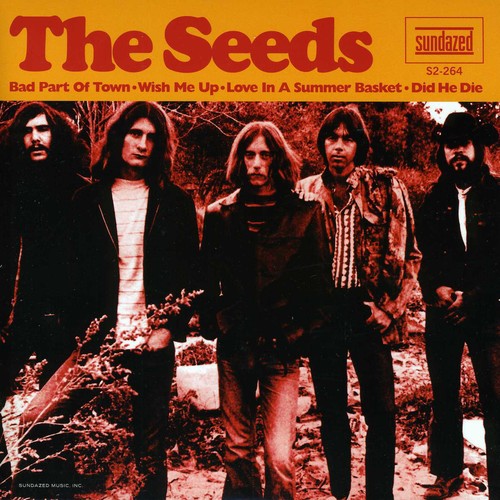 Seeds - Bad Part Of Town - Vinyl Record