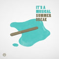 Its A Musical - Summer Break - Vinyl Record