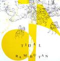 Tidal / Rambutan - Sounds Of The Future / Trapdoor To Infinity - Vinyl Record