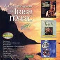 Celebration Of Irish Music / Various - Celebration Of Irish Music / Various - Music CD