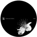 Pfirter / Kangding Ray - Caos Y Orden Superior / Wars - Vinyl Record