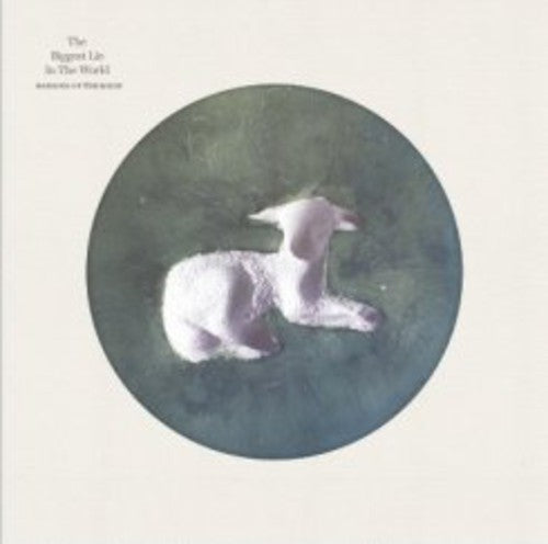 Hanging Up The Moon - Biggest Lie In The World - Vinyl Record
