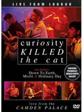 Curiosity Killed The Cat - Live From The Camden Palace - DVD