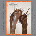 Wroclaw Chamber Orchestra / Stanienda - Polish Music - Music CD