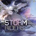Storm Riders - Storm Riders - Music CD