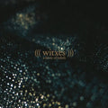 Witxes - Fabric Of Beliefs - Vinyl Record