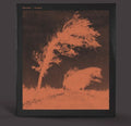 Desolate - Actaeon - Vinyl Record