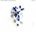 Topferova,marta & Tomas Liska - Milokraj - Music CD