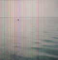 Swim [LP] Vinyl Record
