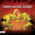 Vines / Callithumpian Consort / Drury / Lobo - Torrid Nature Scenes - Music CD