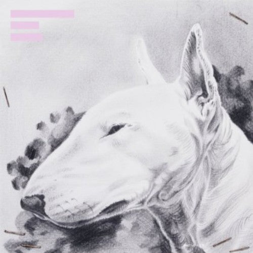 Terranova - Painkiller - Vinyl Record