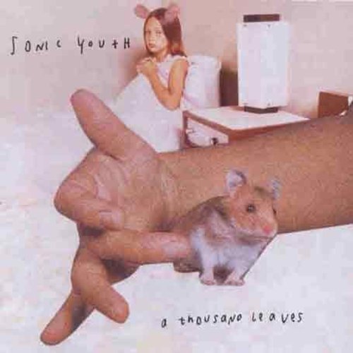 Sonic Youth - Thousand Leaves - Music CD