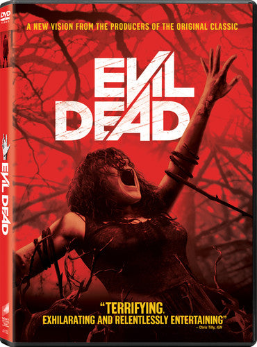 Evil Dead (2013) - Evil Dead (2013) - DVD