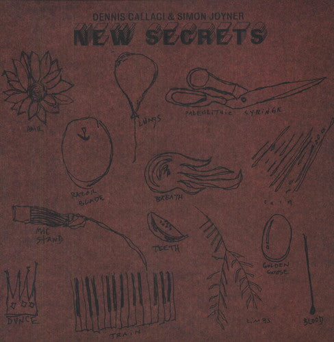 Callaci,dennis & Joyner,simon - New Secrets - Vinyl Record