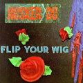Husker Du - Flip Your Wig - Vinyl Record