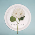 Standing Egg - Ambler - Music CD