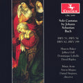 Bach / Baker / Gall / Ripley / Labelle / Stepner - Solo Cantatas - Music CD
