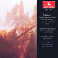 Schubert / Muller / Stiegerwalt - Complete Workd For Piano Four Hands Ii - Music CD