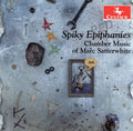Epiphanies,spiky - Chamber Music Of Marc Satterwhite - Music CD