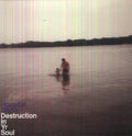 Hospital Ships - Destruction In Yr Soul - Vinyl Record