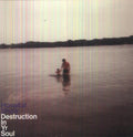 Destruction in Yr Soul [LP] Vinyl Record
