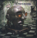 Gov't Mule - Life Before Insanity