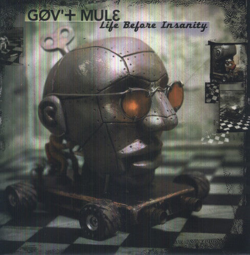 Gov't Mule - Life Before Insanity
