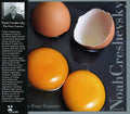 Creshevsky,noah - Four Seasons - Music CD