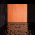 Stareaway - No Life In This Ghost Town - Vinyl Record