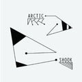 Arctic - Shook - Vinyl Record