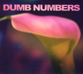 Dumb Numbers - Dumb Numbers - Music CD