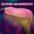 Dumb Numbers - Dumb Numbers - Vinyl Record