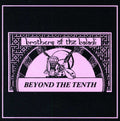 Brothers Of Baladi - Beyond The Tenth - Music CD