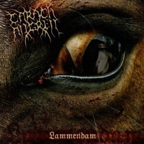 Carach Angren - Lammendam - Vinyl Record