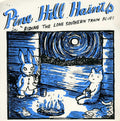 Pine Hill Haints - Riding The Long Southern Train Blues - Vinyl Record