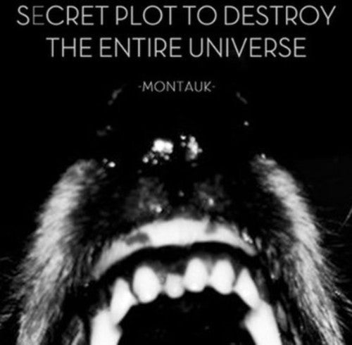 Secret Plot To Destroy The Entire Universe - Montauk - Vinyl Record