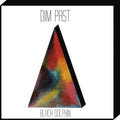 Black Dolphin - Dim Past - Vinyl Record